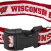 Pets First Collar de tejones Wisconsin_1