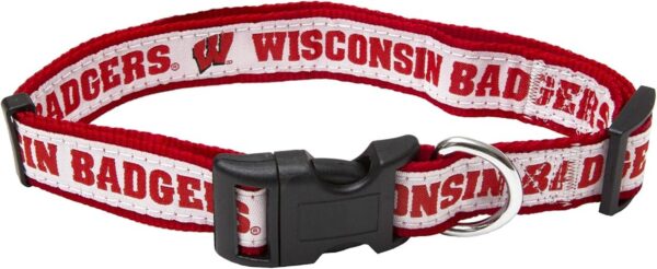 Pets First Collar de tejones Wisconsin_1
