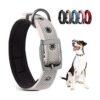 PetiFine Collar de perro resistente ajustable de neopreno