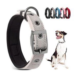 PetiFine Collar de perro resistente ajustable de neopreno