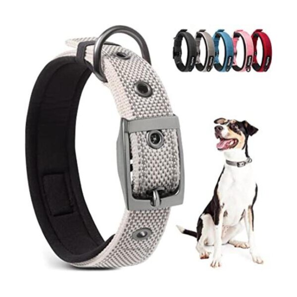 PetiFine Collar de perro resistente ajustable de neopreno