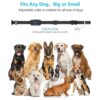 Petma Collar de choque para perro impermeable