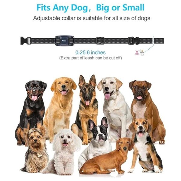 Petma Collar de choque para perro impermeable