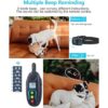 Petma Collar de choque para perro impermeable