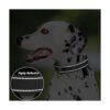 PetiFine Collar de perro resistente ajustable de neopreno