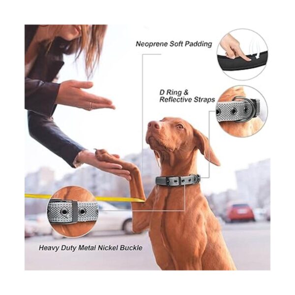 PetiFine Collar de perro resistente ajustable de neopreno