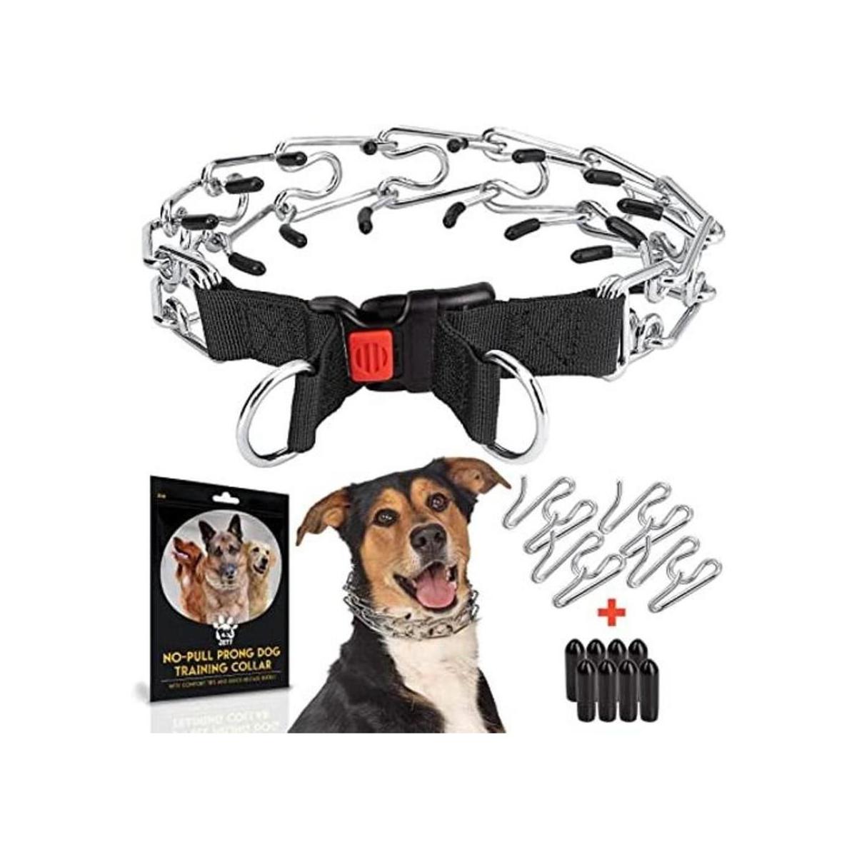 PetJett Collar de punta para perros collar de
