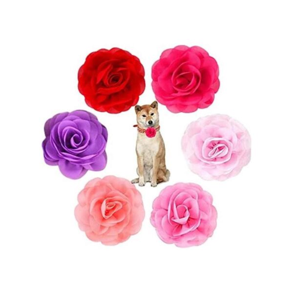 Pet ShoW 6pcs collar de perro lazos y flores rosa rojo
