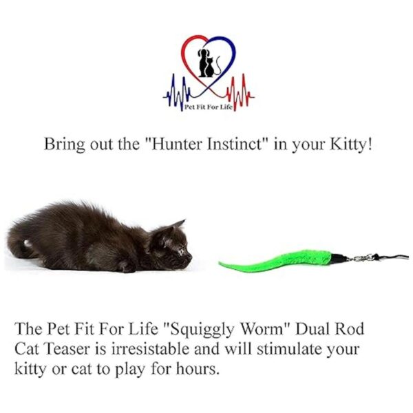 Pet Fit For Life 5 piezas de juguete para gatos y gatitos_2