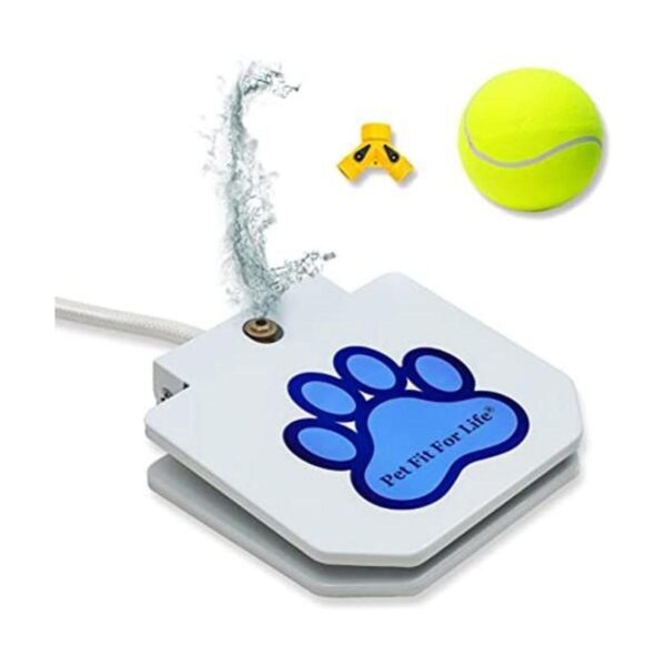 Pet Fit For Life Juguete de rociador de fuente de agua_1