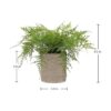 Pequeñas plantas falsas en maceta decoración artificial
