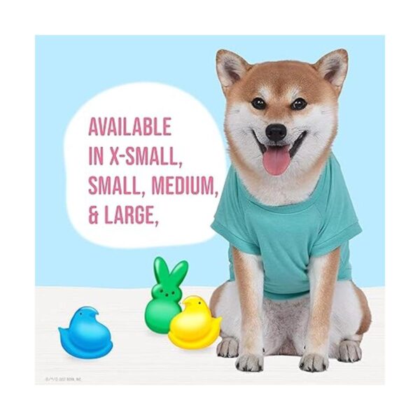 Peeps for Pets Call My Peeps Dog T Shirt Teal Blue Dog_3