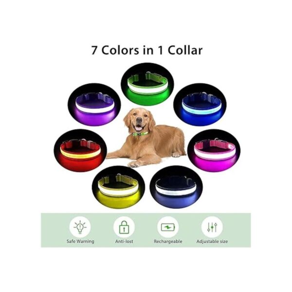 PcEoTllar Collar LED para perro collares de perro_4