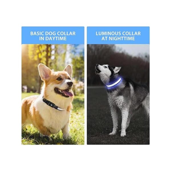 PcEoTllar Collar LED para perro collares de perro_5