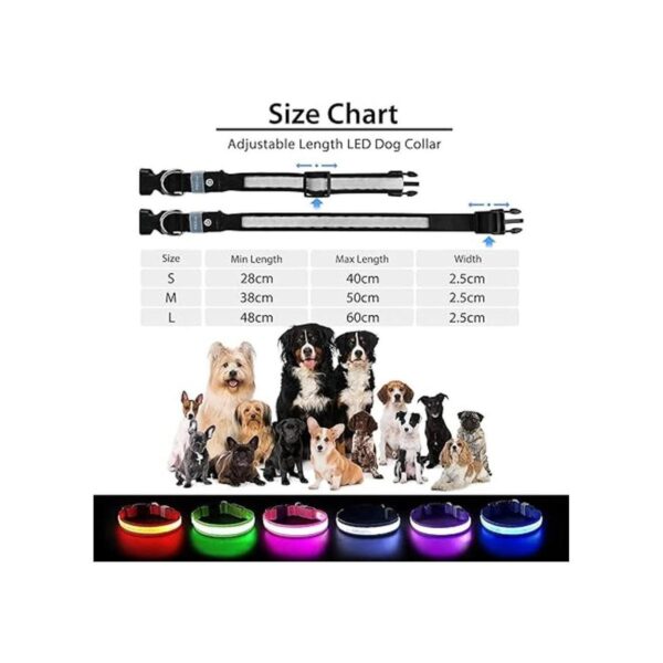 PcEoTllar Collar LED para perro collares de perro_6