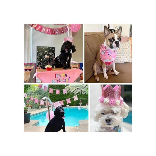 PartyWoo Suministros para fiesta de cumpleaños para perro_4
