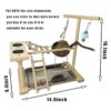 Parrots Parrots Parrots Bird Play Stand Percha de madera
