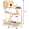 Parakeet Soporte de juego de periquitos para pájaros con_4