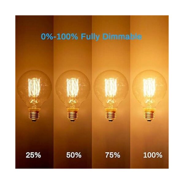 Paquete de 6 bombillas Edison de 60 W G25G80 Globo_3