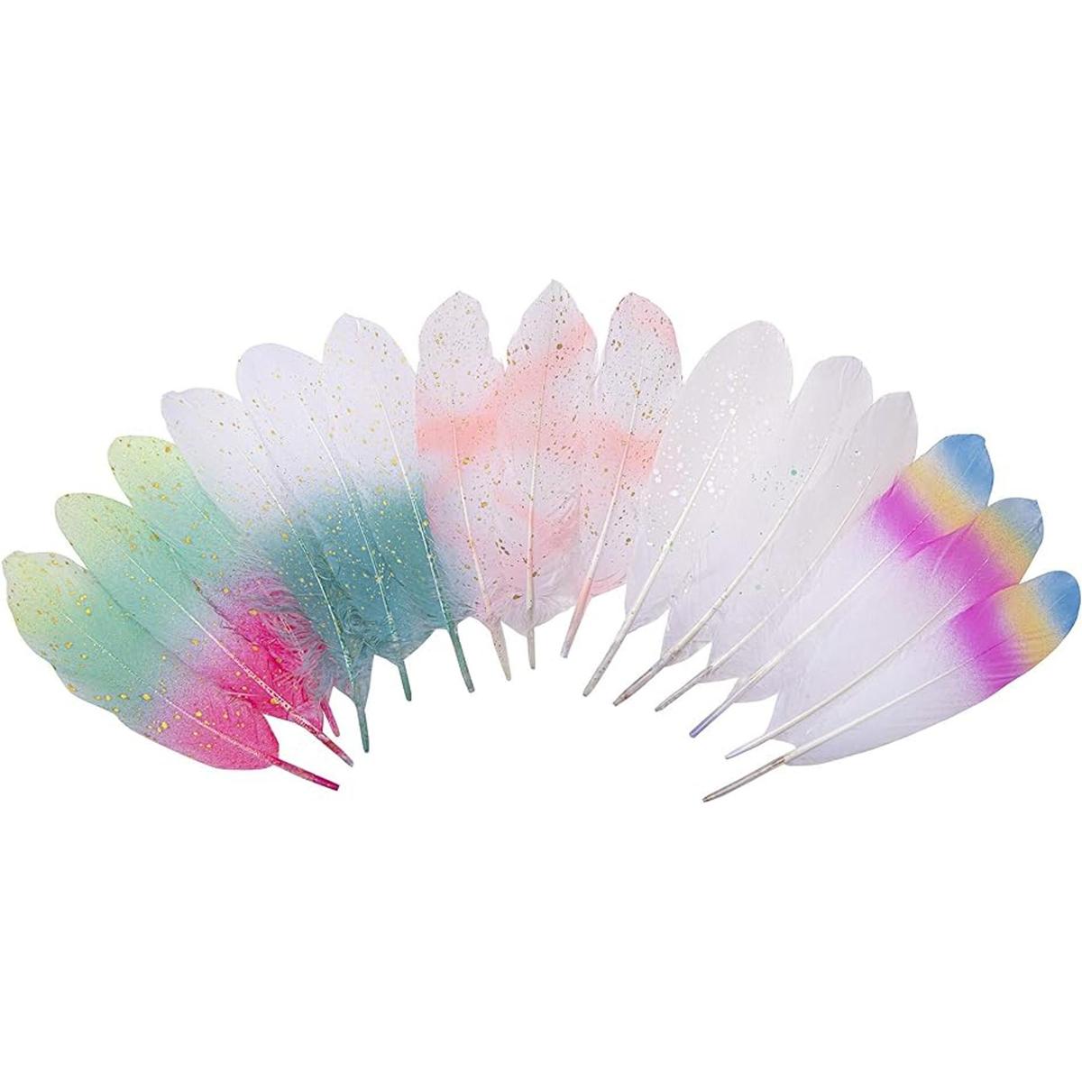 Paquete de 50 piezas de 5 estilos de plumas de ganso
