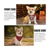 Paquete de 4 bandanas de cumpleaños para perros Clásico