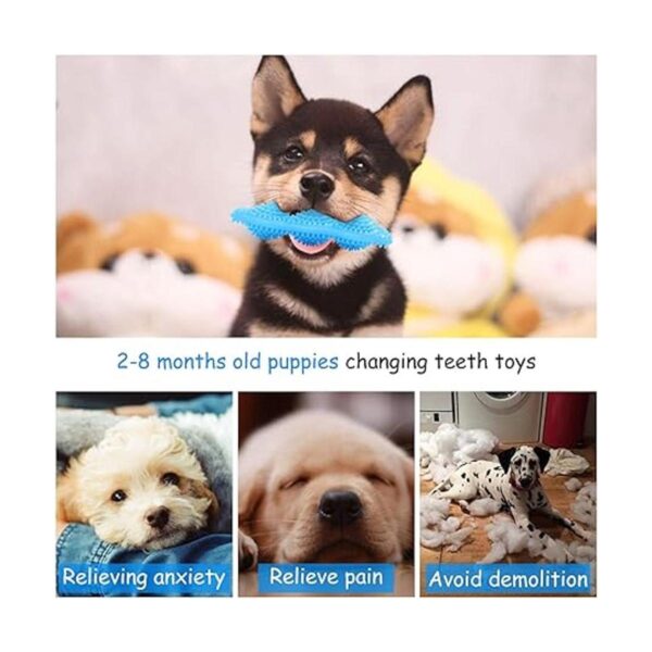 Paquete de 3 juguetes masticables para cachorros de