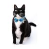 Paquete de 3 collares para gatos con bonito lazo extraíble_6