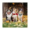Paquete de 3 bandana de Halloween para perro triángulo