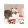 Paquete de 2 collares de Navidad para perros con corbatín