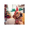 Paquete de 2 collares de Navidad para perros con corbatín
