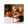 Paquete de 2 collares de Navidad para perros con corbatín