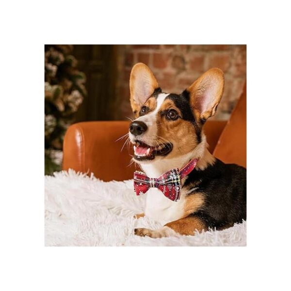 Paquete de 2 collares de Navidad para perros con corbatín