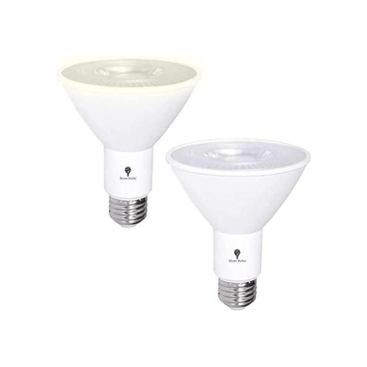 Paquete de 2 bombillas LED PAR30 de inundación del