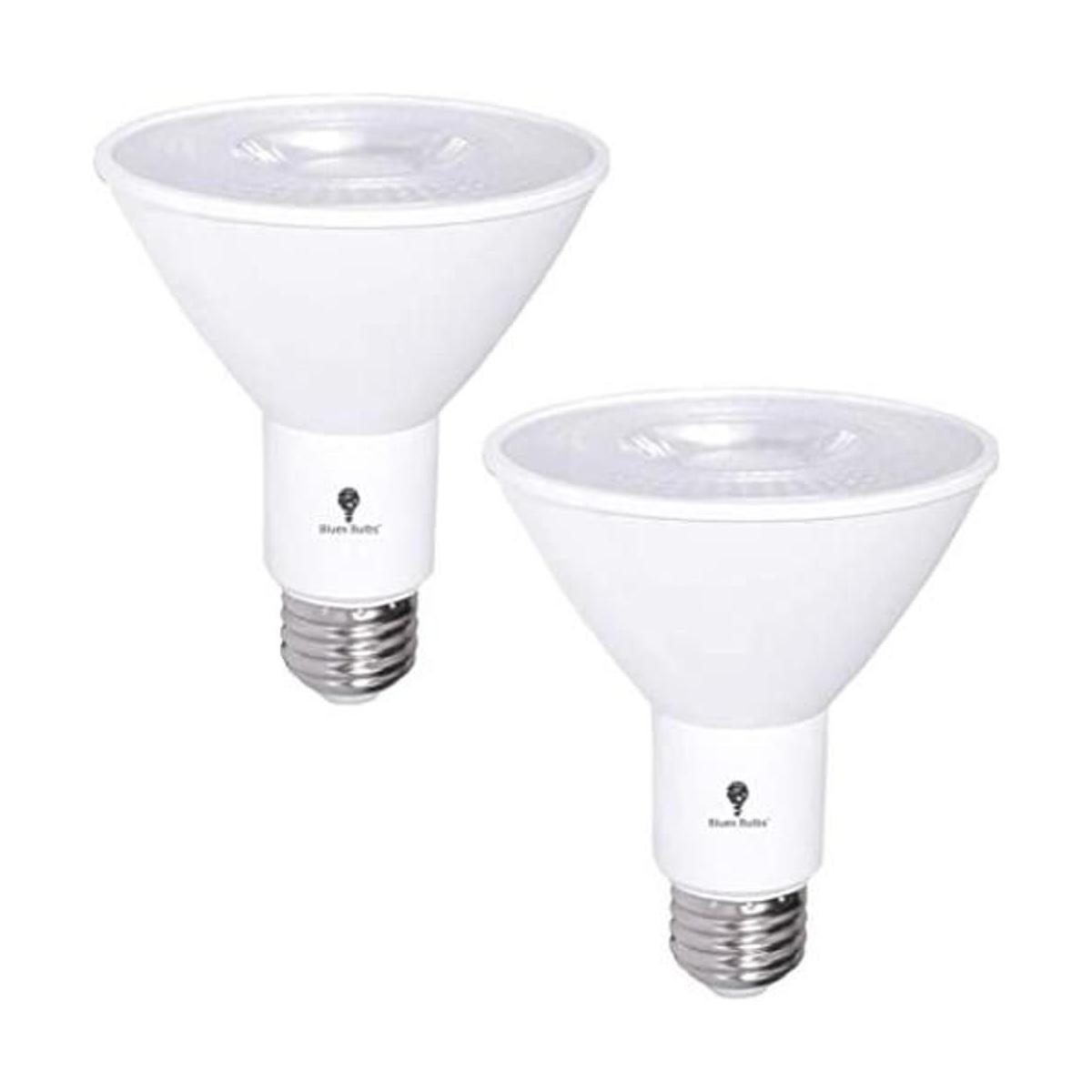 Paquete de 2 bombillas LED de inundación PAR30 para