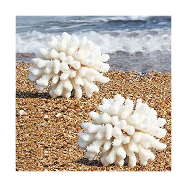 Paquete de 2 adornos artificiales de coral resina de
