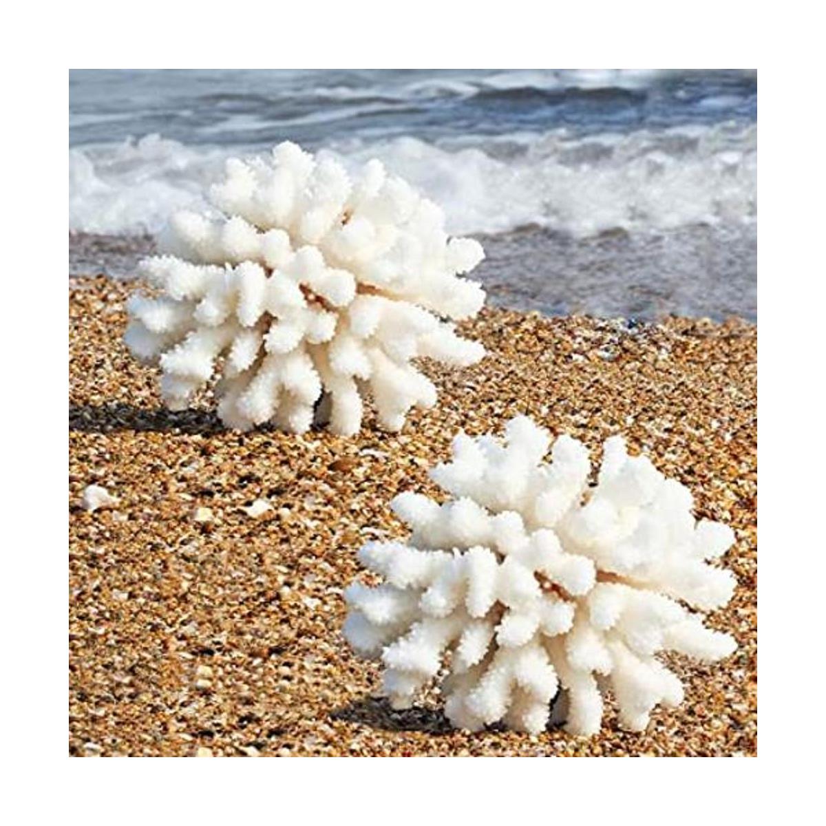 Paquete de 2 adornos artificiales de coral resina de