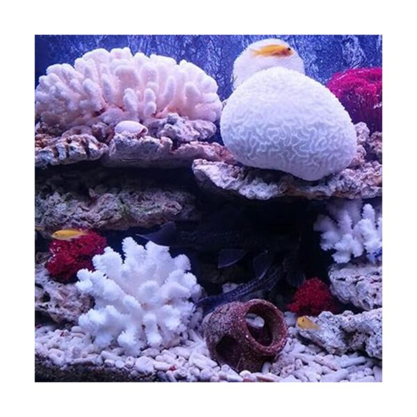 Paquete de 2 adornos artificiales de coral resina de