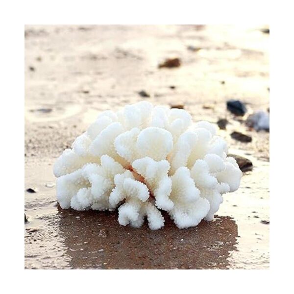 Paquete de 2 adornos artificiales de coral resina de