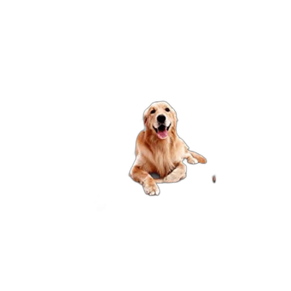 Hanjo Pets Funda de asiento trasero para perro de_1