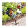Kircust Estatuas y escultura de gallo de jardín arte de_2