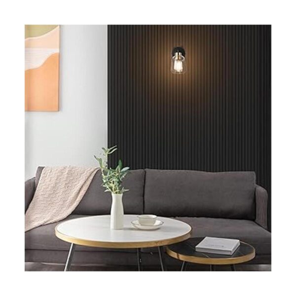 Globe Electric 52081 Aplique de pared de 1 luz enchufable