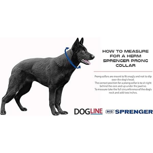 Herm Sprenger Collar de entrenamiento para perros ultra