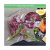 KitVacPak Bolsas selladoras de alimentos al vacío de 200_3