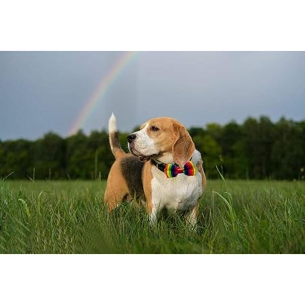 PET SHOW Wholesale 50pcs Small Dogs Collar Attachment Bow