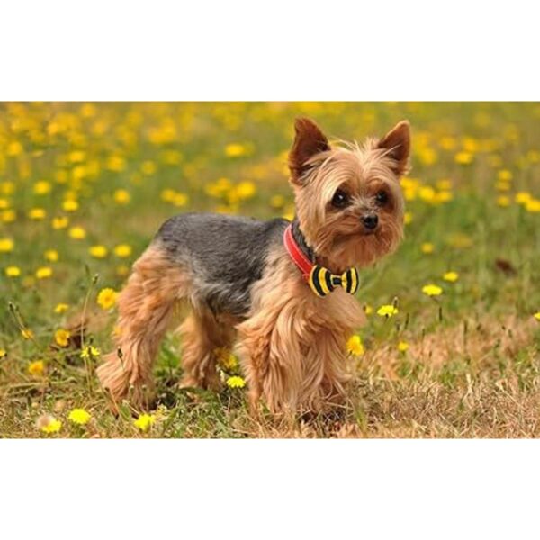 PET SHOW Wholesale 50pcs Small Dogs Collar Attachment Bow