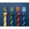 Harry Potter Hogwarts Houses Organizador de
