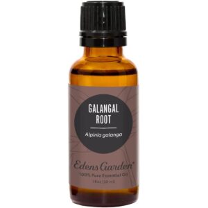 Edens Garden Aceite esencial de raíz galangal 100 puro_1