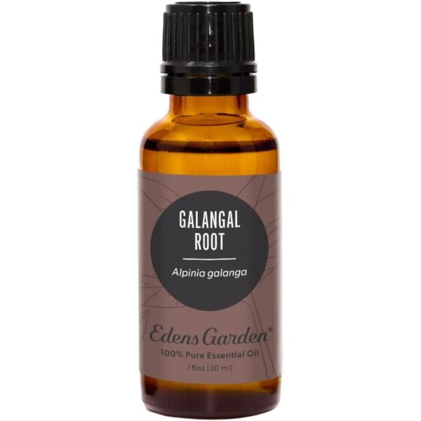 Edens Garden Aceite esencial de raíz galangal 100 puro_1
