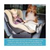 Lassie Fundas de asiento de perro XL para asiento trasero_2