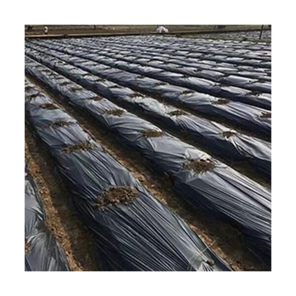 HFS R 10FTX25FT 6 MIL rollo de láminas de plástico negro_5